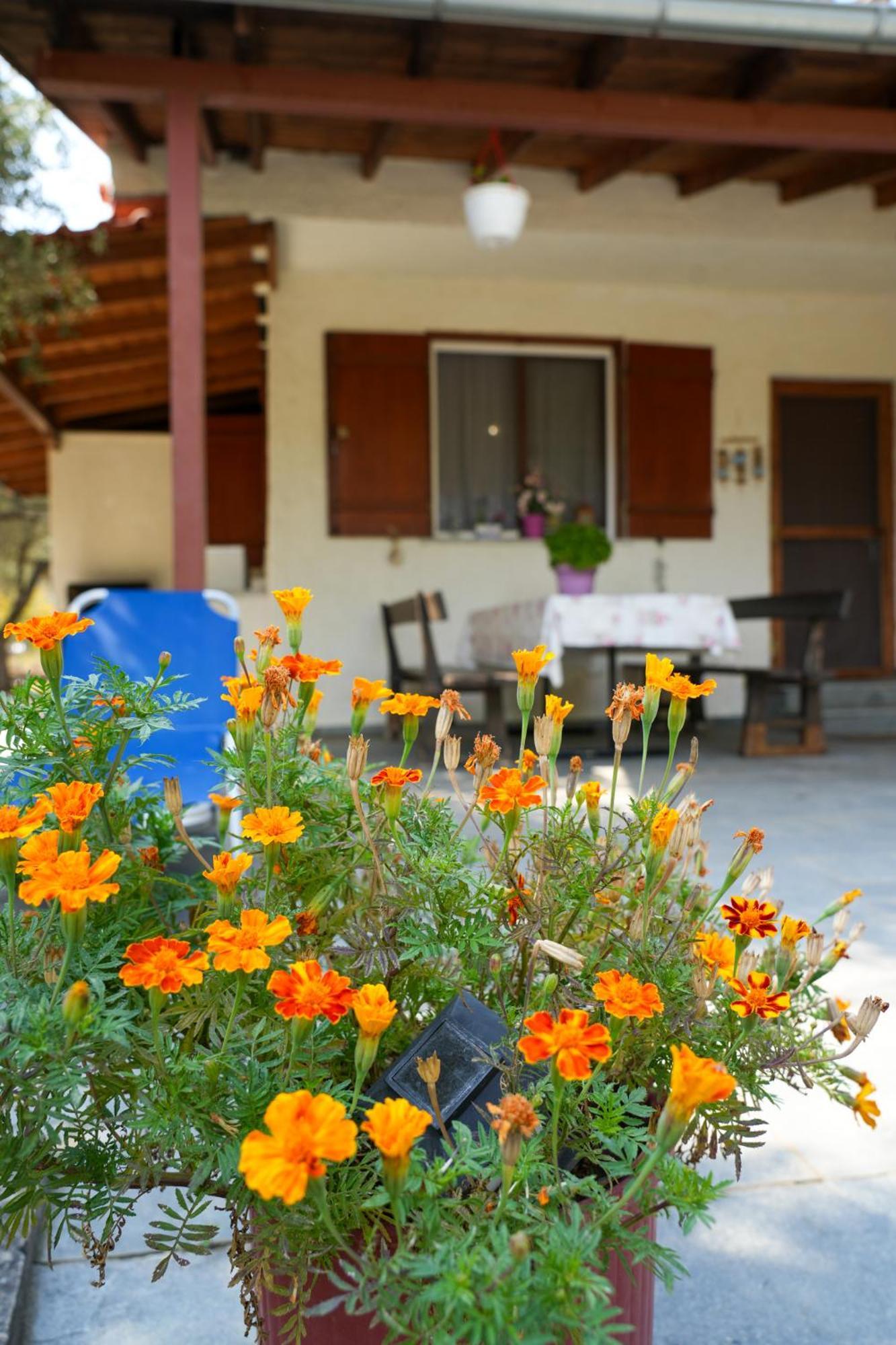 Olive Summer House Chrysi Ammoudia Exterior foto